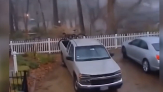 ฟ้าผ่าต้นไม