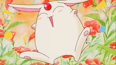 Magic Knight Rayearth ~ Mokona