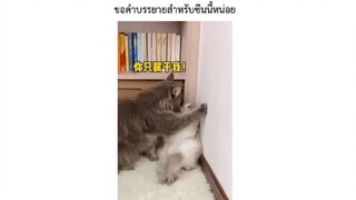 ขอคำบรรยายสำหรับซีนนี้หน่อย