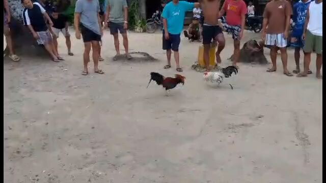 may dayo 1st fyt win.... binugbog pero sa huli patay kalaban 😂