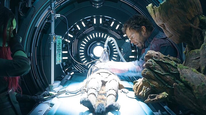 Star-Lord: I may have a sharp tongue but a soft heart. I hope you can wake up, Captain Rocket.