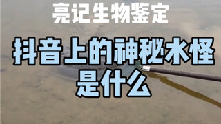 What is the mysterious water monster that's going viral on Douyin?