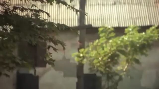 ชื่อชอบ ชวนหาเรื่อง