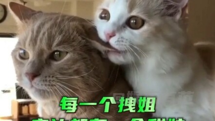 แน่นอนว่าสาวเท่ทุกคนต้องมีสาวหวานอยู่เคียงข้างแน่นอน!