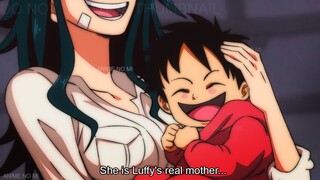 The Revelation of Luffy's Mother and much more! - One Piece