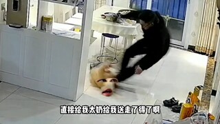 大可不必