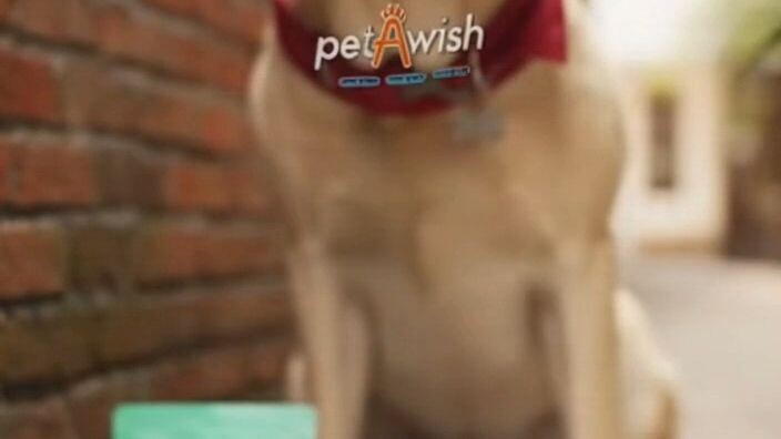 petAwish