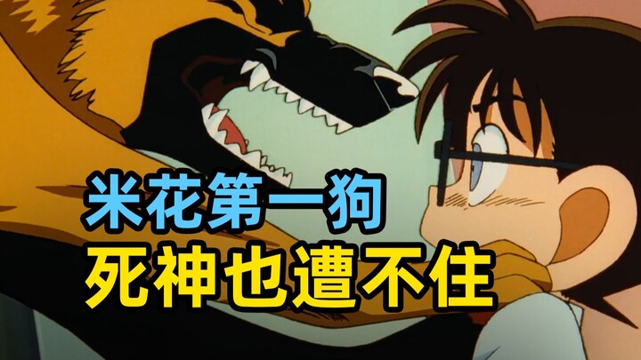 再见  约翰