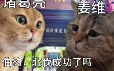 Zhuge Liang: Boyue, was the Northern Expedition successful? Jiang Wei: The state of Wei has fallen.