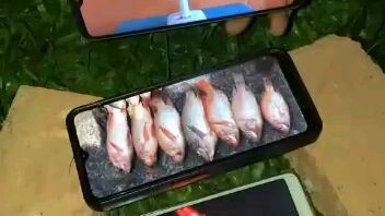 sambil login😁😁