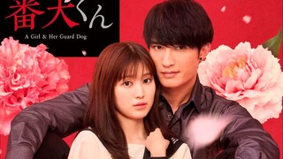 A Girl & Her Guard Dog Live Action Movie (2025) Eng Sub