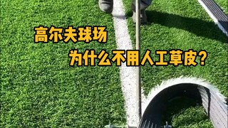 为什么高尔夫球场不用人工草皮？ #科普 #解压 #草坪 #极度舒适