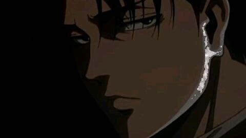 awokawok><