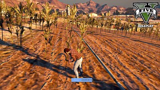KEHIDUPAN MENJADI SEORANG PETANI !! - GTA V ROLEPLAY INDONESIA