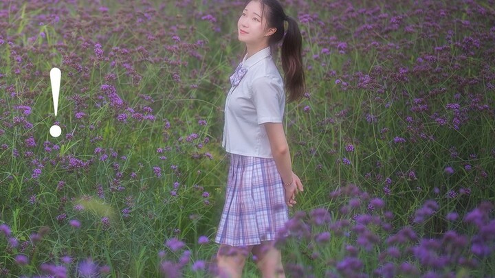 【Sanqi】CÓ!OK!❀Hãy cùng nhau nở rộ trong biển hoa tím❀