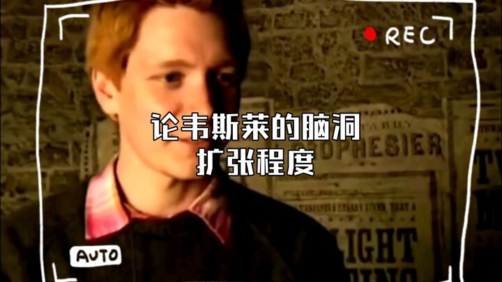 حول مدى اتساع خيال عائلة ويزلي