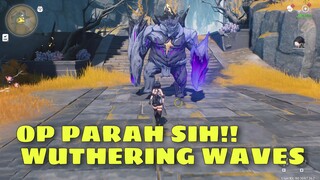 OP PARAH SIH INI !! - WUTHERING WAVES