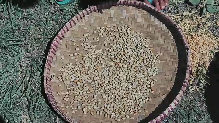 Lestari alamku, kebahagiaan akan menyatu!