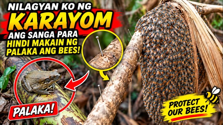 Ang daming palaka; Nilagyan ko Ng pang harang na karayom para Hindi maubos ang mga Bees