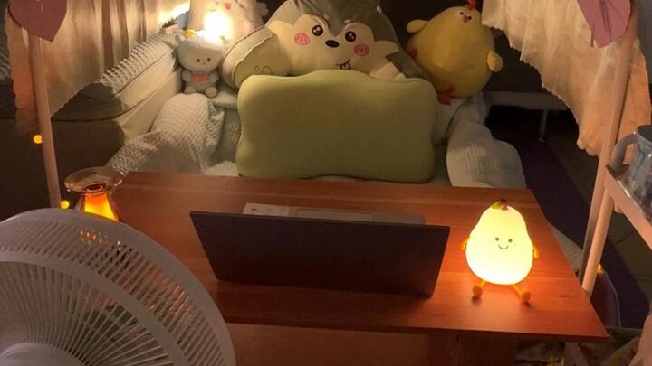 Sarang kecil yang baru saja dibuat ternyata sudah ada kecoak!!!