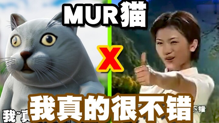 【MUR Cat】Really good!