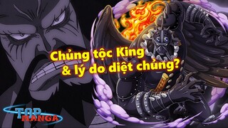 [Giả thuyết]. Chủng tộc của King và lý do diệt chủng?