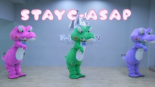 🐊 STAYC-「ASAP」翻跳  你见过小鳄鱼干农活儿么？