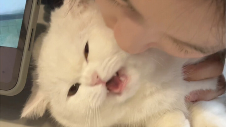 Come give me a kiss! Such a sweet, baby-voiced plea—so helpless and adorable.