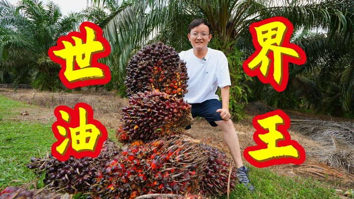 [Penemu Buah Hunter x Hunter] Menurunkan harga minyak nabati bukan dengan minyak jelantah, melainkan