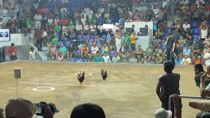 talo mga bossing grabe kalaban