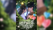 《错把温柔当情深》Mistaking Tenderness For Love