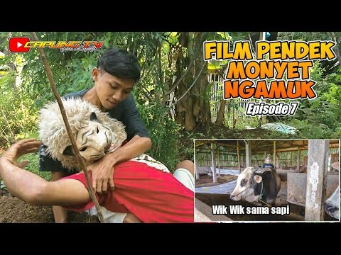 Film Pendek lucu ngakak exstream versi jawa || Monyet Ngamuk - Episode 7