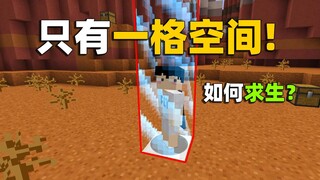 MC自闭生存：开局0物资！只有一格空间，如何生存下去？