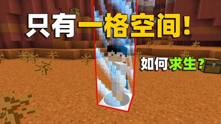 MC自闭生存：开局0物资！只有一格空间，如何生存下去？