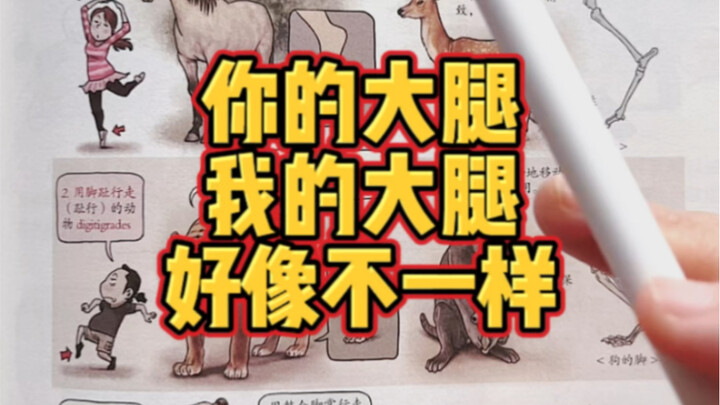 Segala hal tentang kaki—apakah kamu tahu?