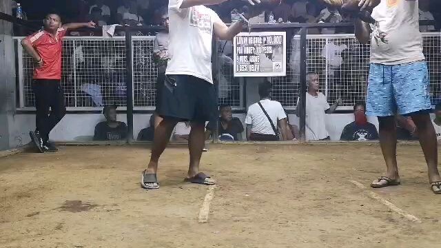 3rd Fight Win, 4cock Derby
