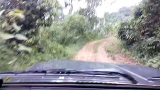 Penampakan Suku Mante Terbaru