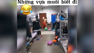 Những vựa muối biết đi