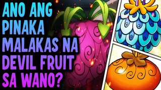 Top 10 STRONGEST DEVIL FRUIT In Wano!