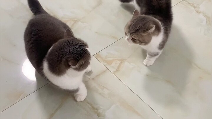 Bạn tôi nói, không cần cắt giây nào cả.
