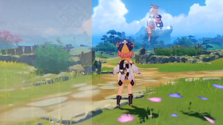 [Genshin Impact] Display Of Catching Pets