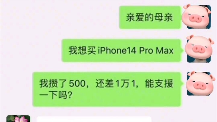 I asked my mother for money to buy an iPhone 14 Pro Max, but she gently refused!