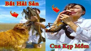 Thú Cưng TV | Gâu Đần và Bà Mẹ #21 | Chó Golden Gâu Đần thông minh vui nhộn | Pets cute smart dog