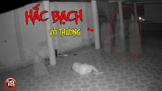 Quỷ Nhập Xác Bị HẮC BẠCH VÔ THƯỜNG Bắt | Phim Ma - Roma Vlogs