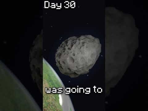 What would you do if the world was ending?