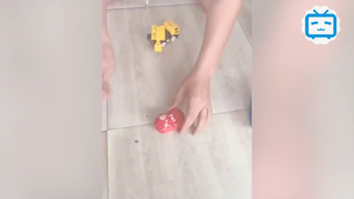 Đập heo đất 'TÍ HON' đón Tết, gia chủ khiến dân tình 'NGỠ NGÀNG' #lifestyle