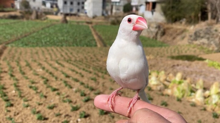 Vừa ngoan thế đã đành, nhan sắc lại còn đỉnh đến mức đáng sợ, đúng là quá dễ mến luôn!