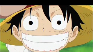 semua percaya luffy akan menjadi raja bajak laut