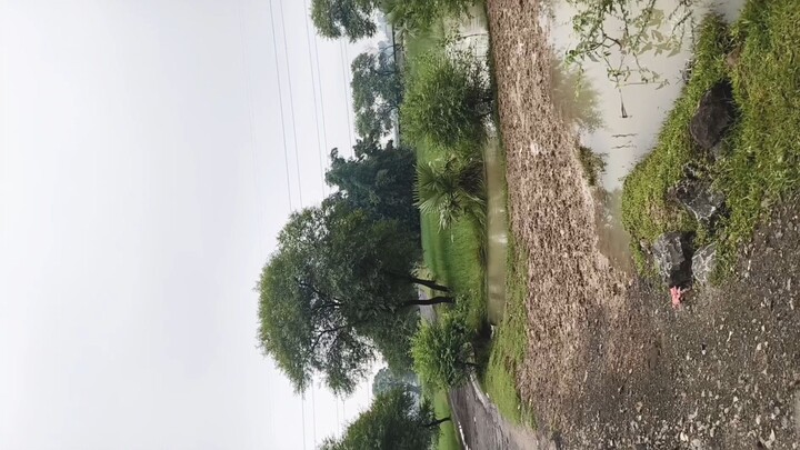 hello friend dekh sakte ho is video