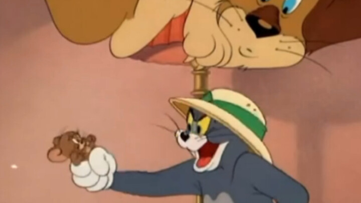 Tom's life is really colorful. He not only catches mice but also hunts lions.